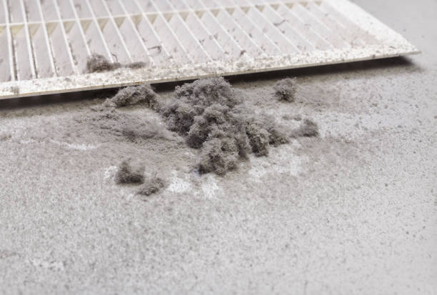 Best Professional Duct Cleaning Services  in Monessen, PA